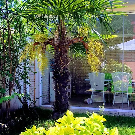лятна къща Holiday home Ravda